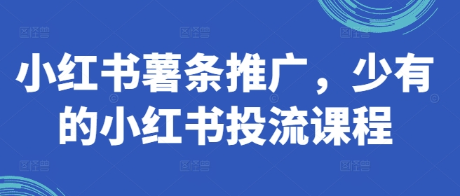 小红书薯条推广，少有的小红书投流课程-第一资源站