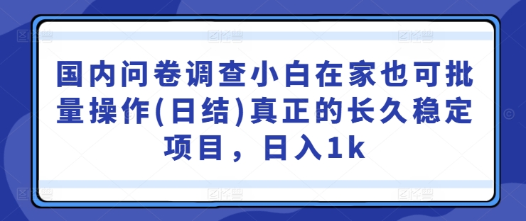 国内问卷调查小白在家也可批量操作(日结)真正的长久稳定项目，日入1k【揭秘】-第一资源站