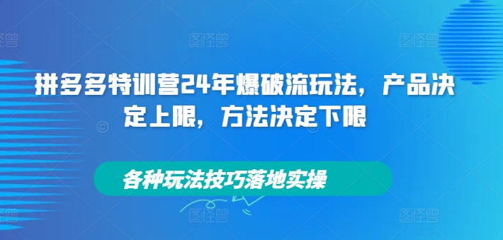 拼多多特训营24年爆破流玩法，产品决定上限，方法决定下限，各种玩法技巧落地实操-第一资源站