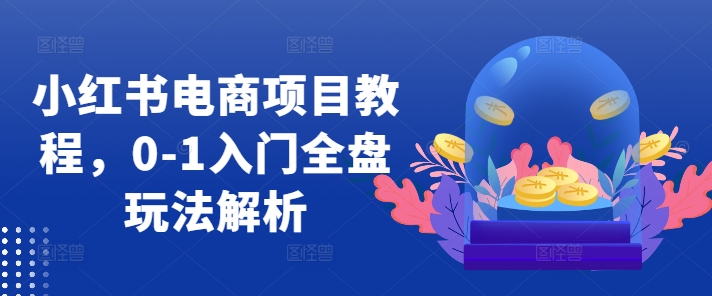 小红书电商项目教程，0-1入门全盘玩法解析-第一资源站