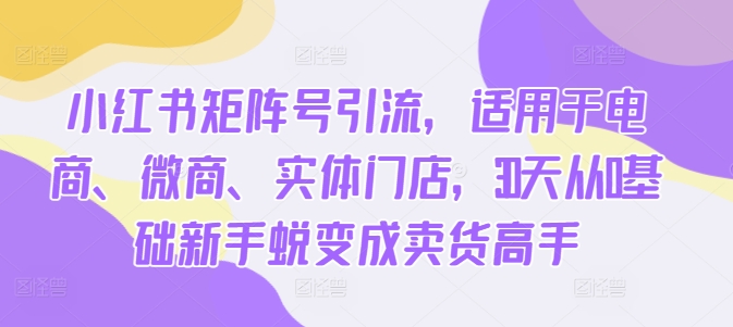 小红书矩阵号引流，适用于电商、微商、实体门店，30天从0基础新手蜕变成卖货高手-第一资源站