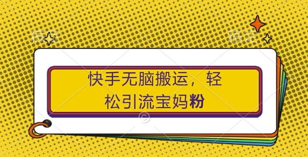 快手无脑搬运，轻松引流宝妈粉，纯小白轻松上手【揭秘】-第一资源站
