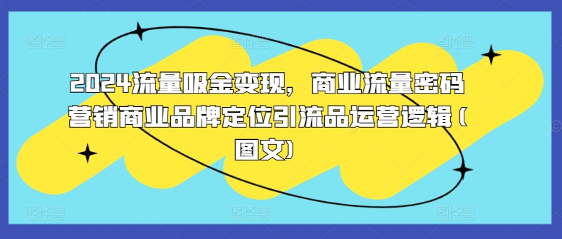 2024流量吸金变现，商业流量密码营销商业品牌定位引流品运营逻辑(图文)-第一资源站