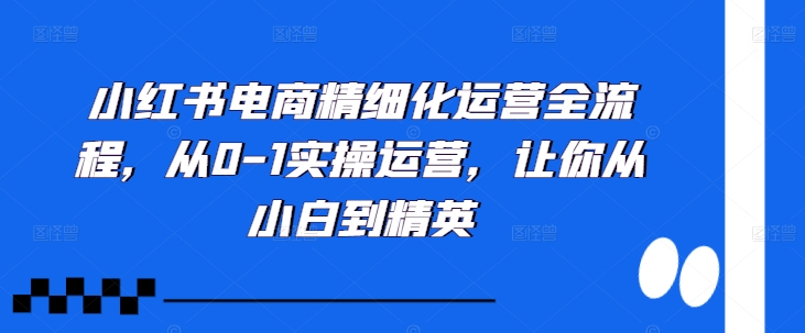 小红书电商精细化运营全流程，从0-1实操运营，让你从小白到精英-第一资源站