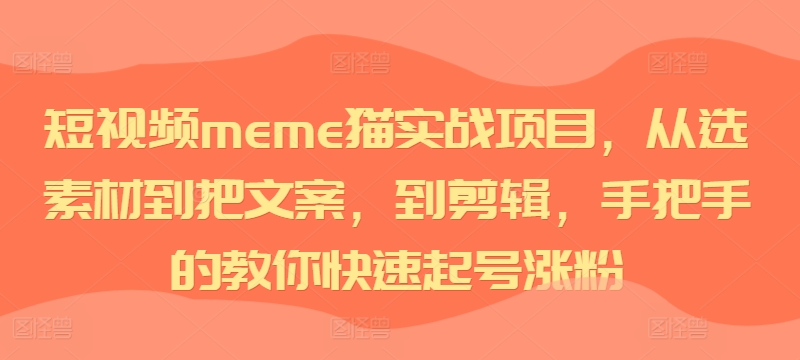短视频meme猫实战项目，从选素材到把文案，到剪辑，手把手的教你快速起号涨粉-第一资源站