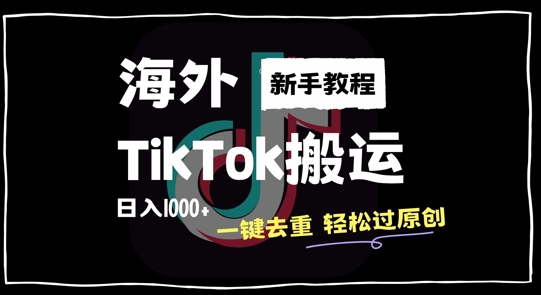 2024最新海外TikTok搬运玩法，一键去重轻松过原创，新手无经验也能日入1k【揭秘】-第一资源站