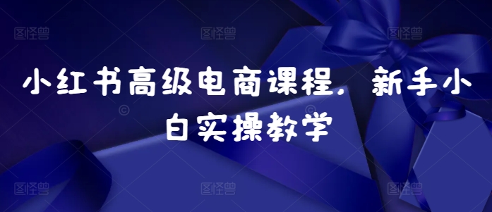 小红书高级电商课程，新手小白实操教学-第一资源站