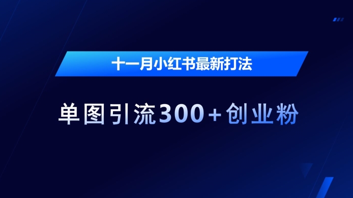 十一月小红书最新打法，单图引流300+创业粉【揭秘】-第一资源站