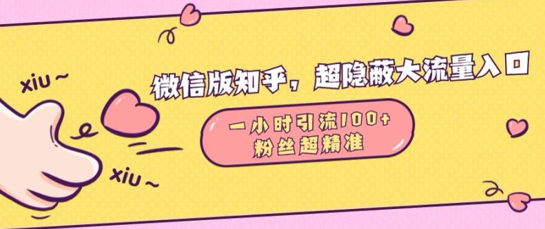 微信版知乎，超隐蔽流量入口1小时引流100人，粉丝质量超高【揭秘】-第一资源站