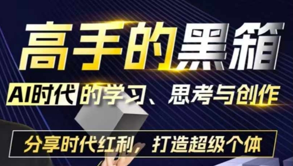 高手的黑箱：AI时代学习、思考与创作-分红时代红利，打造超级个体-第一资源站