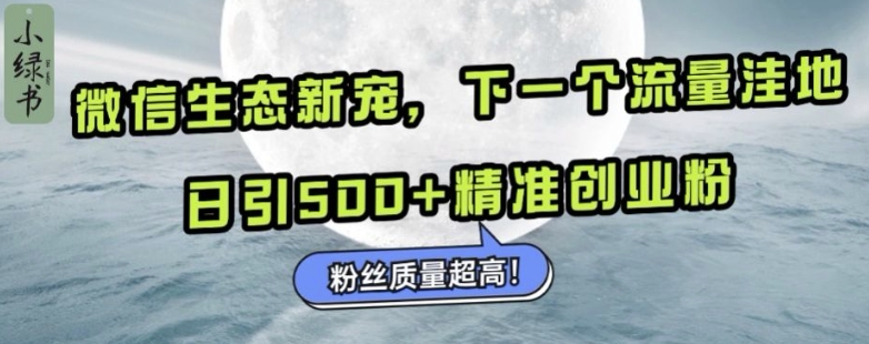 微信生态新宠小绿书：下一个流量洼地，日引500+精准创业粉，粉丝质量超高-第一资源站