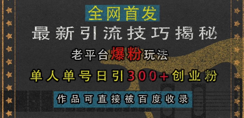 最新引流技巧揭秘，老平台爆粉玩法，单人单号日引300+创业粉，作品可直接被百度收录-第一资源站