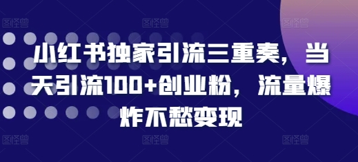 小红书独家引流三重奏，当天引流100+创业粉，流量爆炸不愁变现【揭秘】-第一资源站