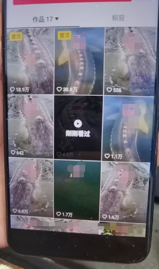 外面卖399的国学佛像原创暴力起号技术，快速起号，7天可达到一个万粉号-第一资源站