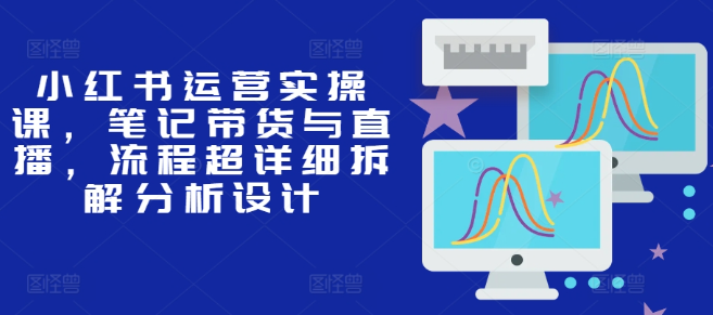 小红书运营实操课，笔记带货与直播，流程超详细拆解分析设计-第一资源站