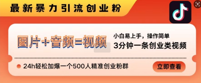 抖音最新暴力引流创业粉，3分钟一条创业类视频，24h轻松加爆一个500人精准创业粉群【揭秘】-第一资源站