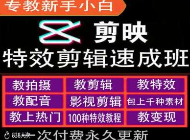 剪映特效教程和运营变现教程，特效剪辑速成班，专教新手小白-第一资源站
