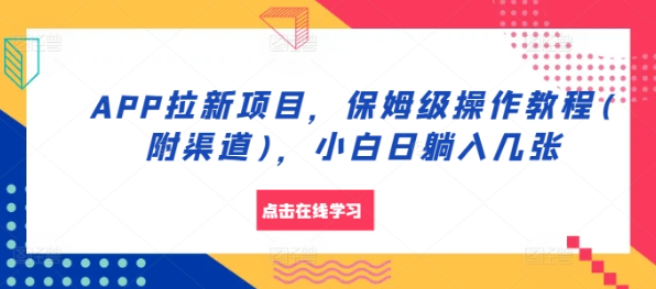 APP拉新项目，保姆级操作教程(附渠道)，小白日躺入几张【揭秘】-第一资源站