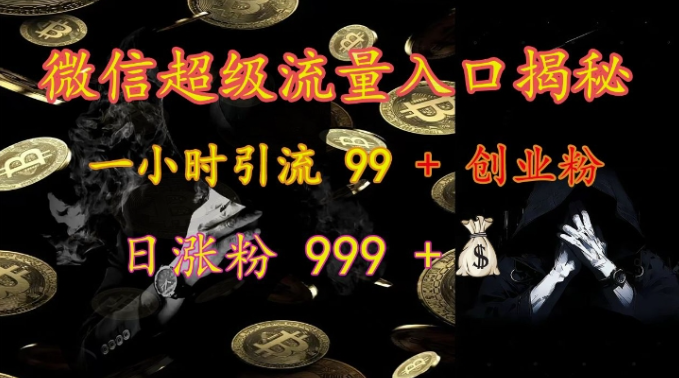 微信超级流量入口揭秘：一小时引流 99 + 创业粉，日涨粉 999 +-第一资源站