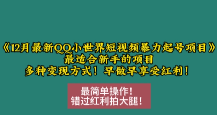 12月最新QQ小世界短视频暴力起号项目，最适合新手的项目，多种变现方式-第一资源站