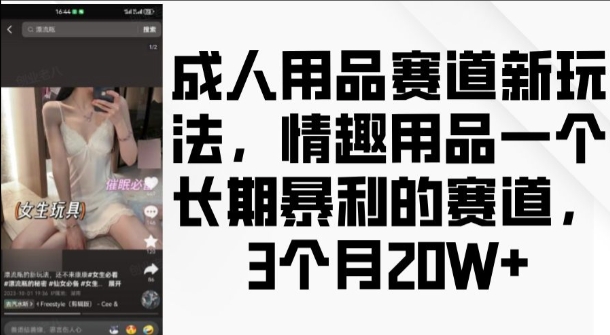 成人用品赛道新玩法，情趣用品一个长期暴利的赛道，3个月收益20个【揭秘】-第一资源站