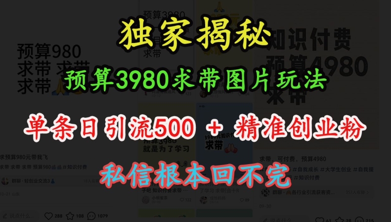 预算3980求带 图片玩法，单条日引流500+精准创业粉，私信根本回不完-第一资源站