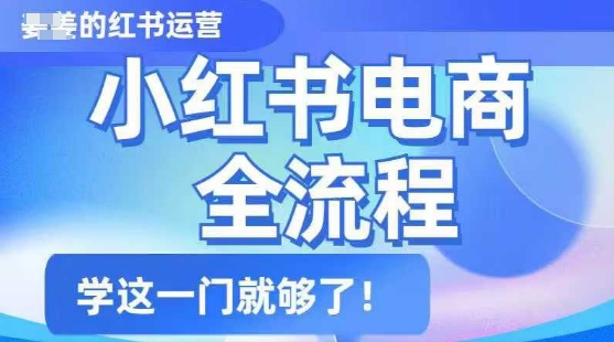 小红书电商全流程，精简易懂，从入门到精通，学这一门就够了-第一资源站