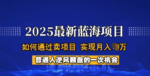 2025蓝海项目，普通人如何通过卖项目，实现月入过W，全过程【揭秘】-第一资源站